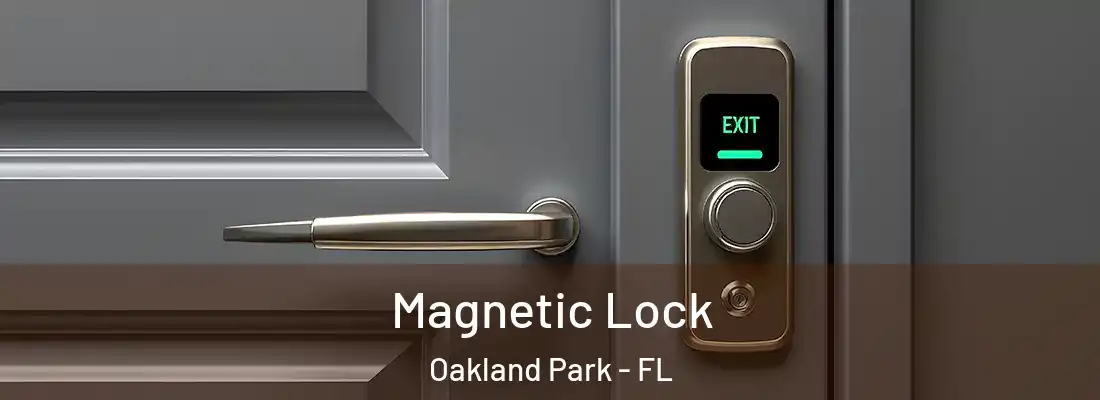 Magnetic Lock Oakland Park - FL